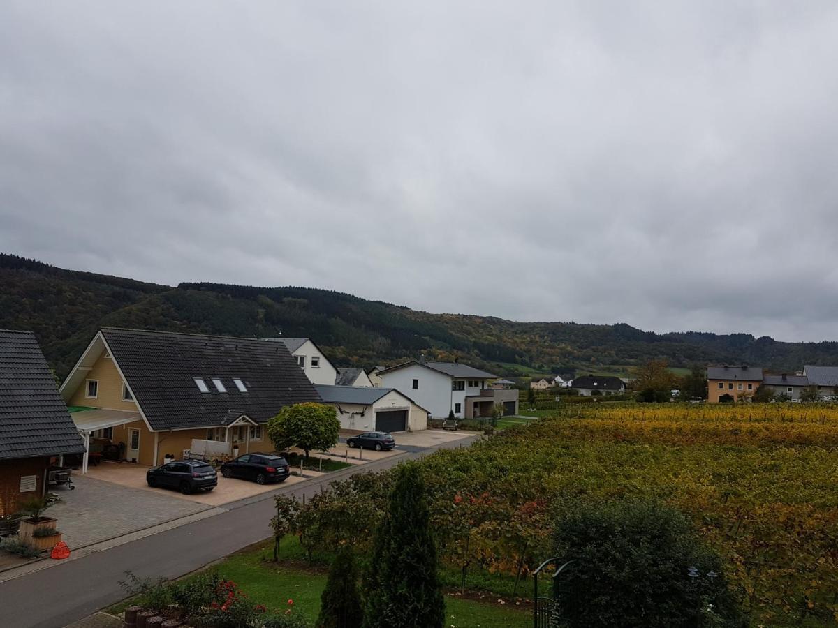 Ferienweinhaus Roemer-Knodt Krov Luaran gambar